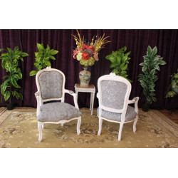 Lot 2 petits Fauteuils Cabriolet Style Louis XV